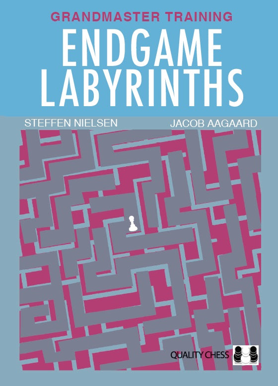Endgame Labyrinths by Steffen Nielsen & Jacob Aagaard (Hardback)