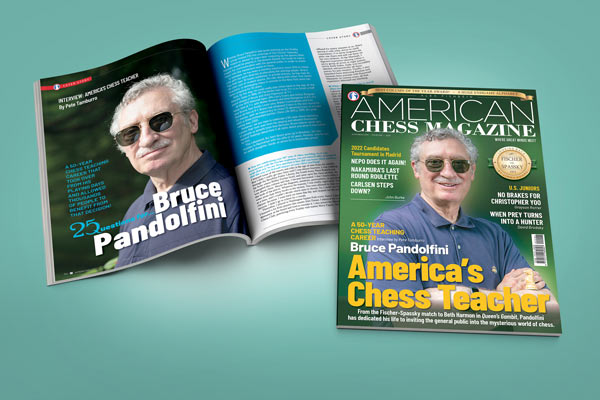 American Chess Magazine 28