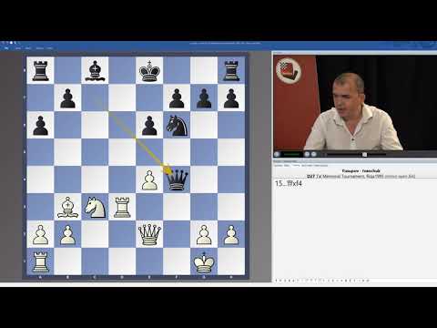Sokolov: Understanding Middlegame Strategies Vol. 5 + 6