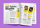 American Chess Magazine 31