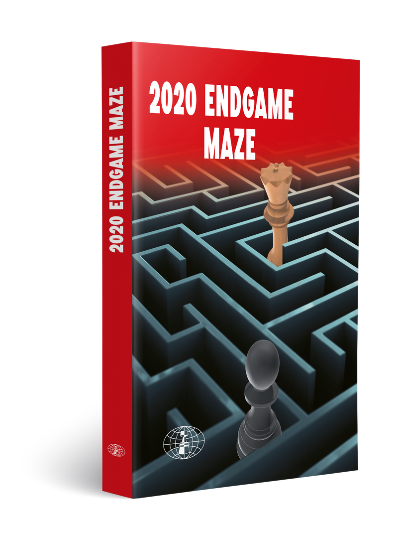 2020 Endgame Maze - Ivan Ivanisevic